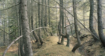Pietri04_original_feature